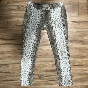 Gucci Runway White Python Print Leggings Size 38